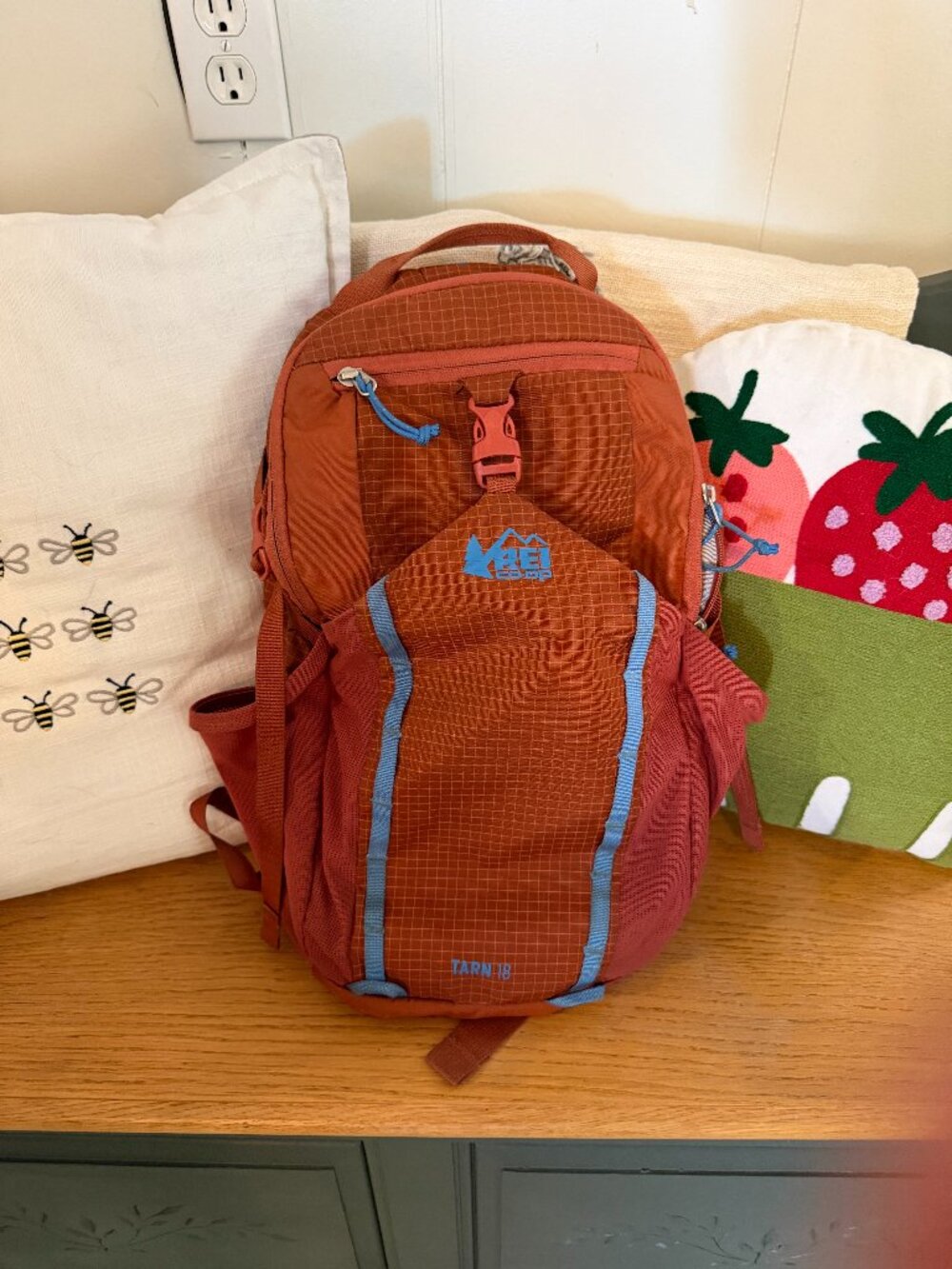 REI Co-op Tarn 18 Kids' Hiking Backpack – Rust Orange & Blue